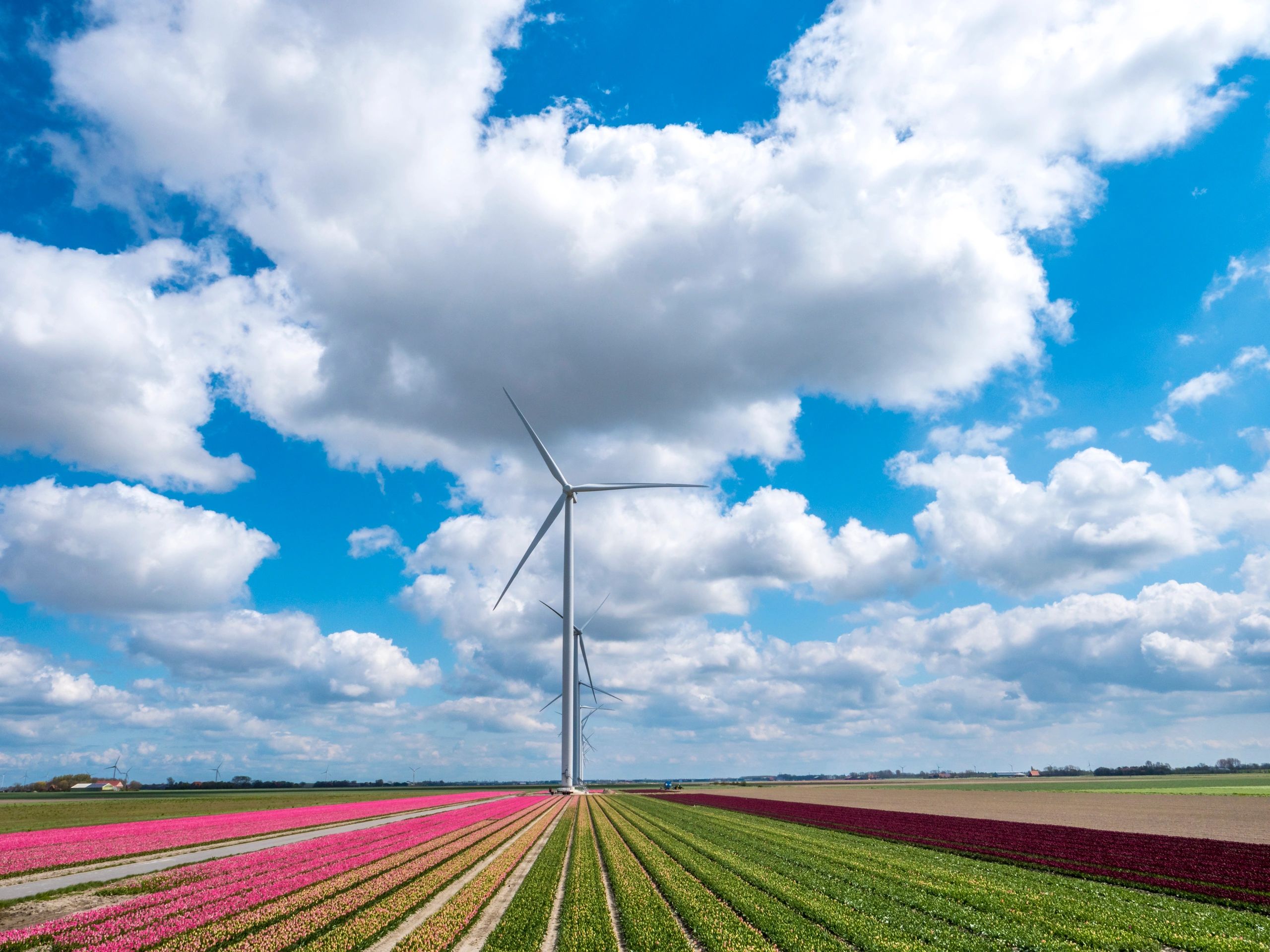 Wind turbines over fields representing renewable energy