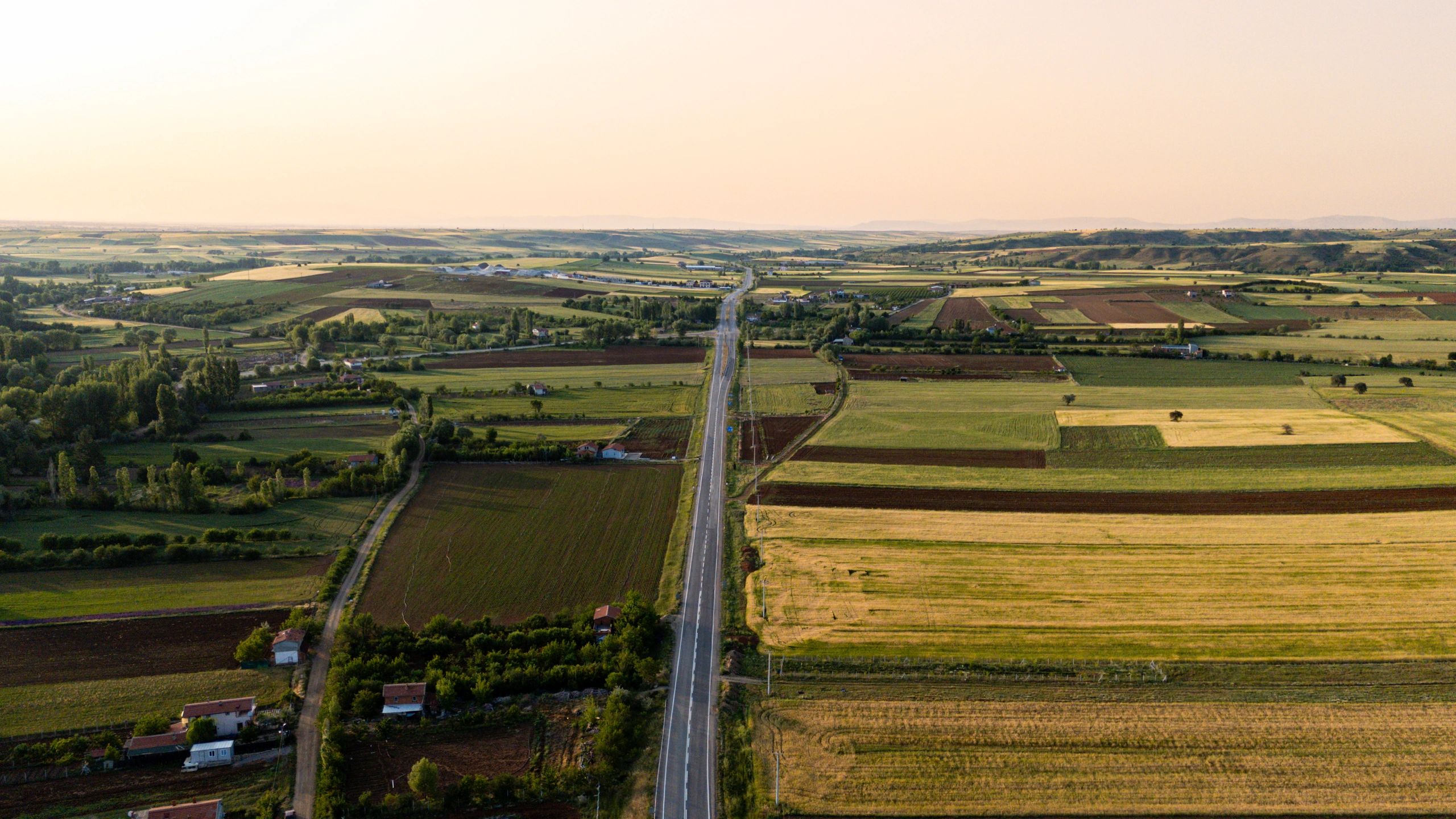 Aerial view of agricultural fields representing large-scale farming operations